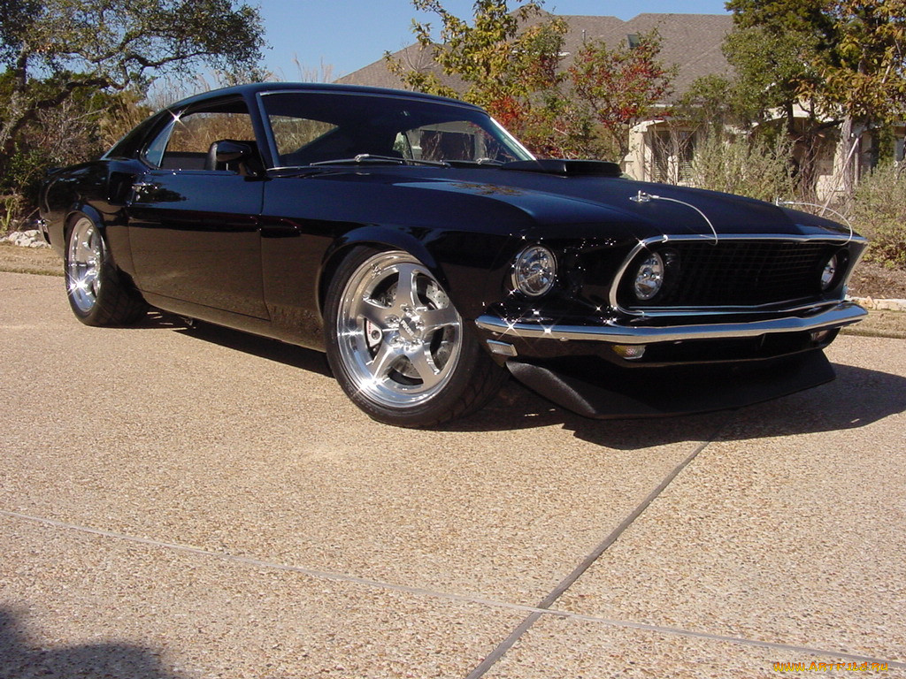 , mustang